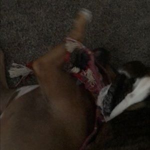 Meet your Posher, Christopher